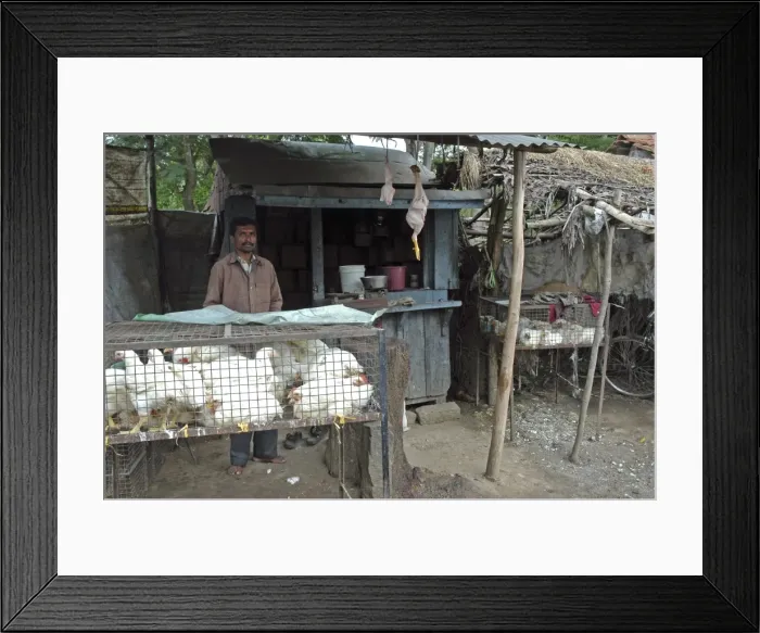 Framed Print : Picture No. 10864957 Framed Print : Picture No. 10864957
