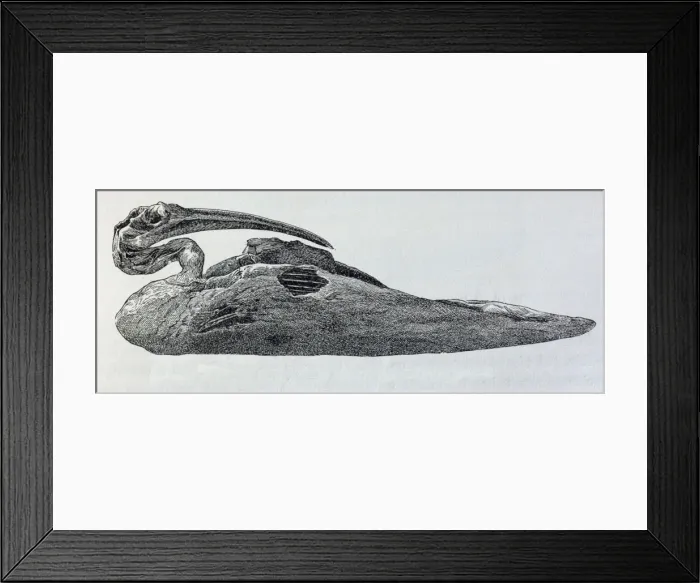 Framed Print : Picture No. 10864966 Framed Print : Picture No. 10864966