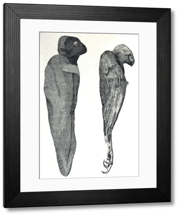 Framed Print : Picture No. 10864965 Framed Print : Picture No. 10864965