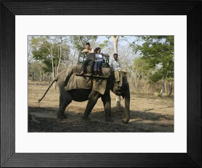 Framed Print : Picture No. 10865017 Framed Print : Picture No. 10865017