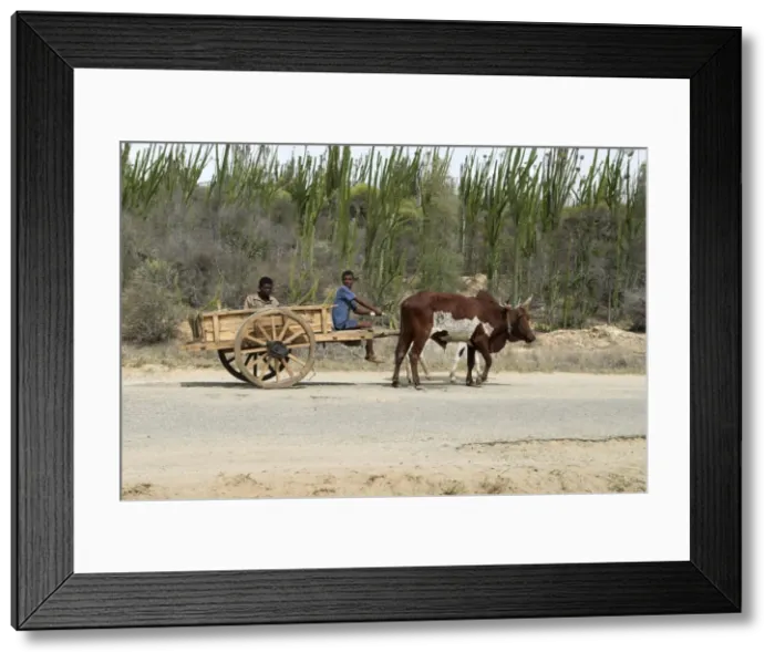Framed Print : Picture No. 10865056 Framed Print : Picture No. 10865056