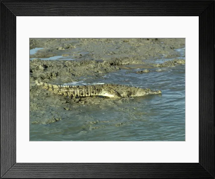 Framed Print : Picture No. 10865212