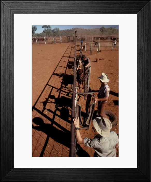Framed Print : Picture No. 10865232 Framed Print : Picture No. 10865232