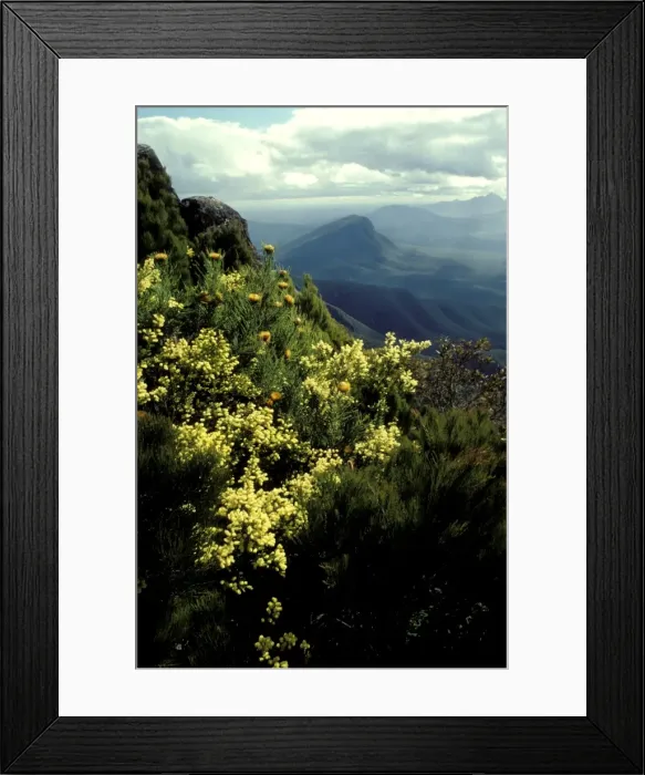 Framed Print : Picture No. 10865236 Framed Print : Picture No. 10865236