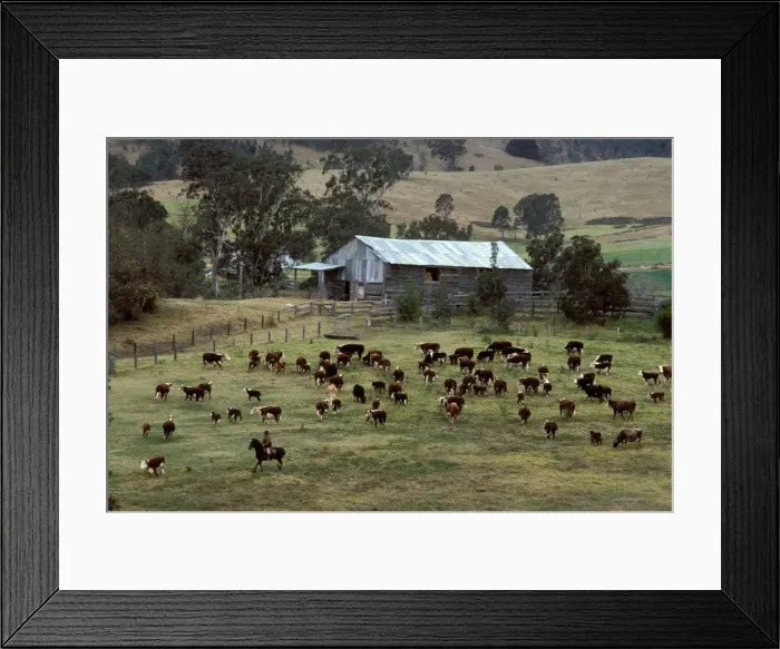 Framed Print : Picture No. 10865243 Framed Print : Picture No. 10865243