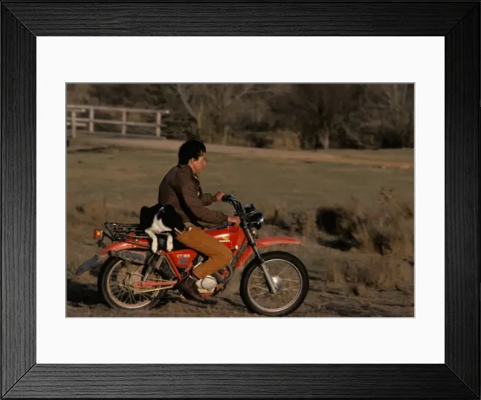 Framed Print : Picture No. 10865253 Framed Print : Picture No. 10865253