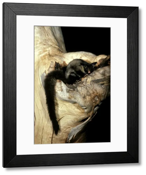 Framed Print : Picture No. 10865255