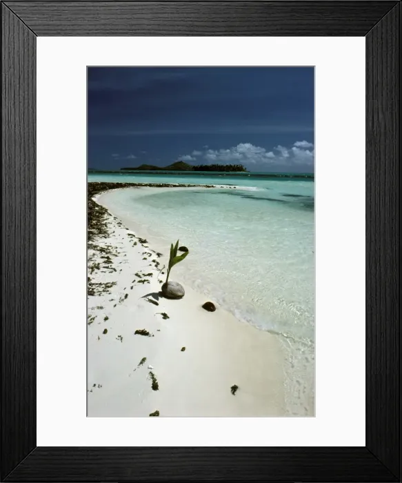 Framed Print : Picture No. 10865290