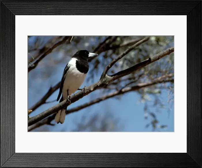 Framed Print : Picture No. 10865330 Framed Print : Picture No. 10865330