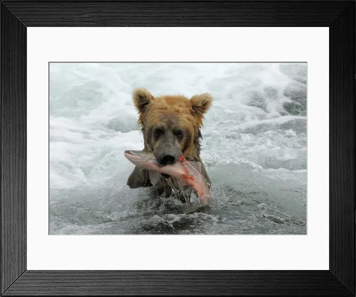 Framed Print : Picture No. 10865531 Framed Print : Picture No. 10865531