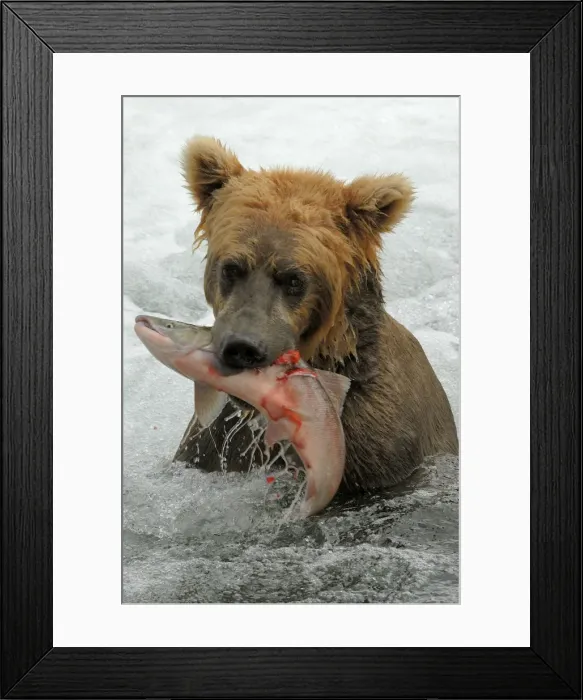 Framed Print : Picture No. 10865542 Framed Print : Picture No. 10865542
