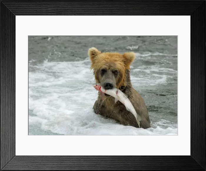 Framed Print : Picture No. 10865534 Framed Print : Picture No. 10865534