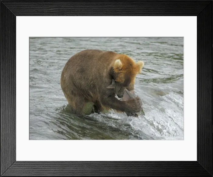 Framed Print : Picture No. 10865545 Framed Print : Picture No. 10865545