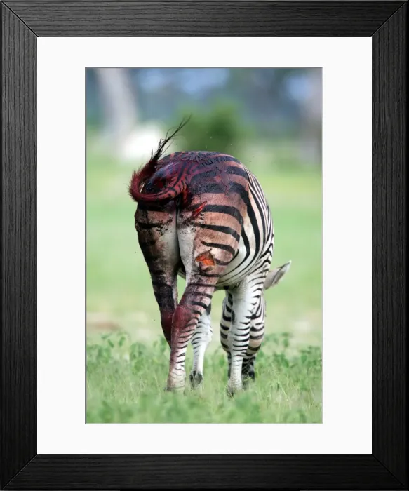 Framed Print : Picture No. 10865626 Framed Print : Picture No. 10865626