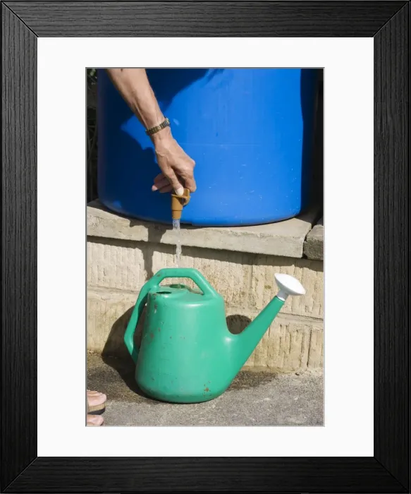 Framed Print : Picture No. 10865742 Framed Print : Picture No. 10865742