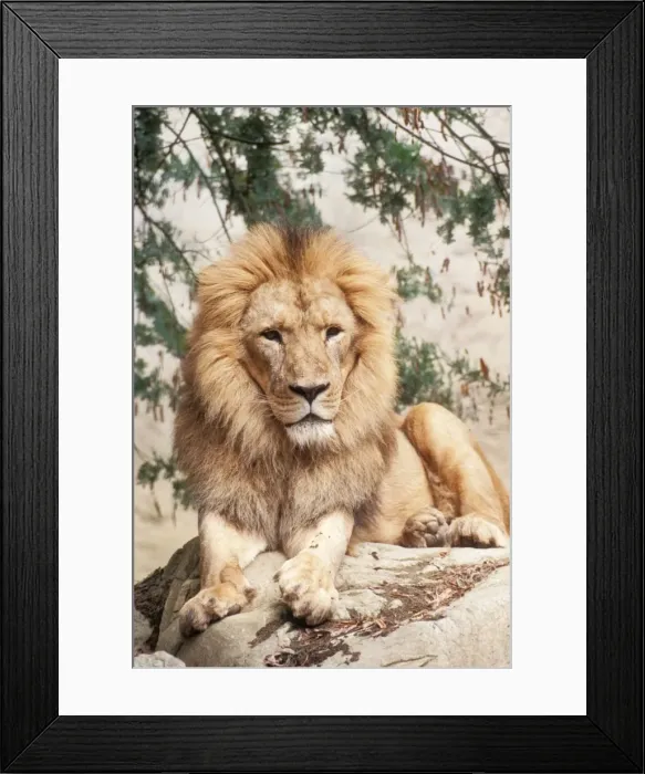 Framed Print : Picture No. 10865510 Framed Print : Picture No. 10865510
