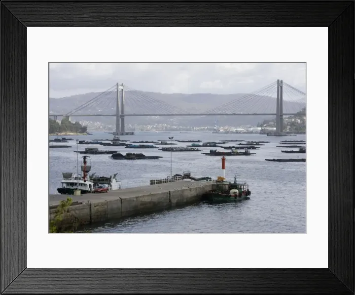Framed Print : Picture No. 10865778 Framed Print : Picture No. 10865778