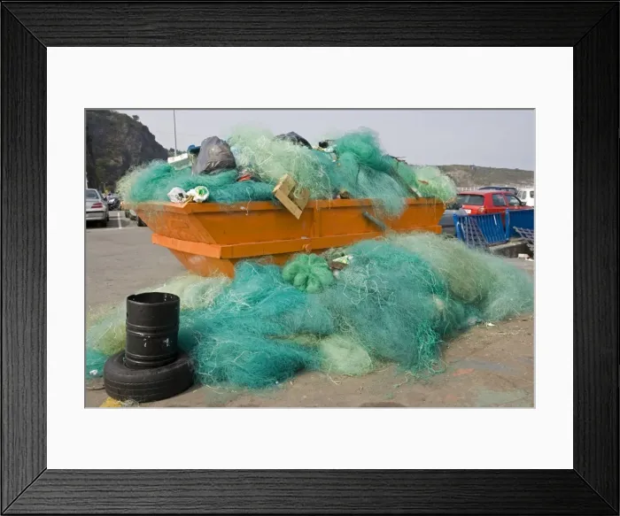 Framed Print : Picture No. 10865774
