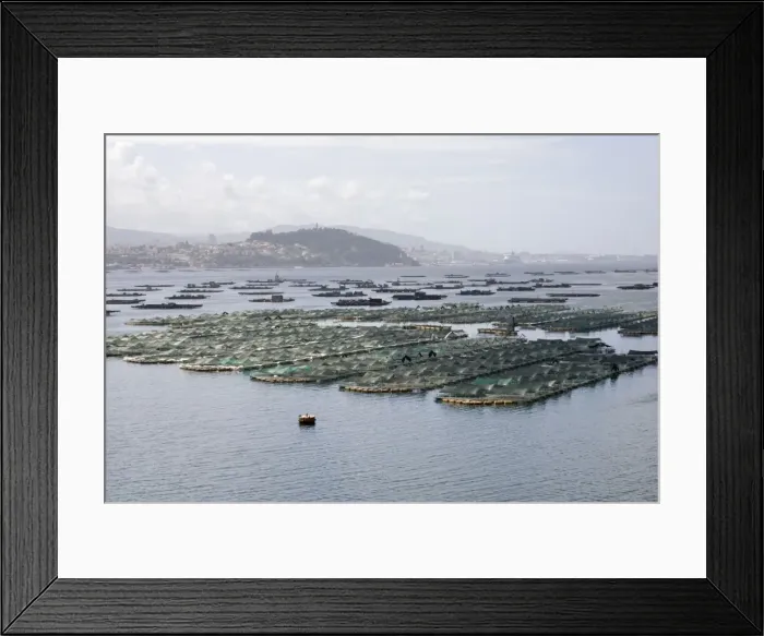 Framed Print : Picture No. 10865779 Framed Print : Picture No. 10865779
