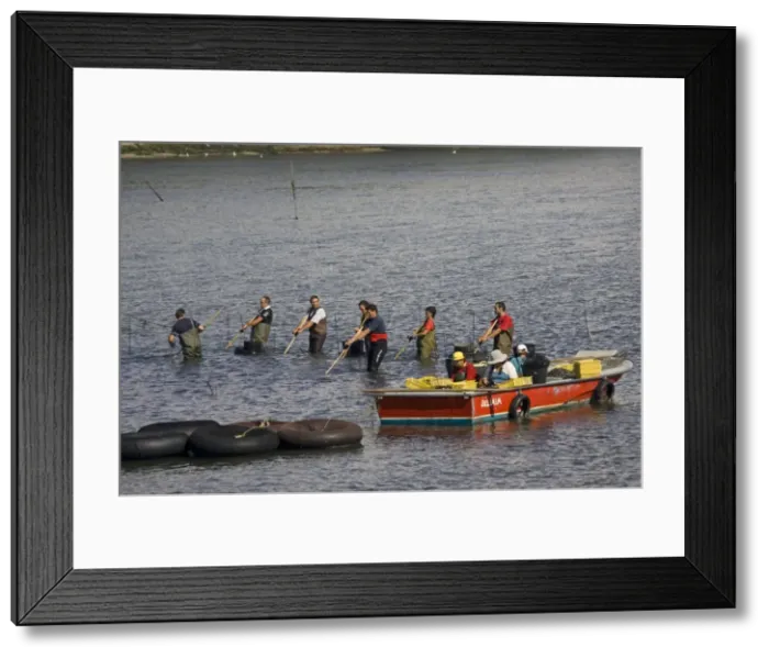 Framed Print : Picture No. 10865780 Framed Print : Picture No. 10865780