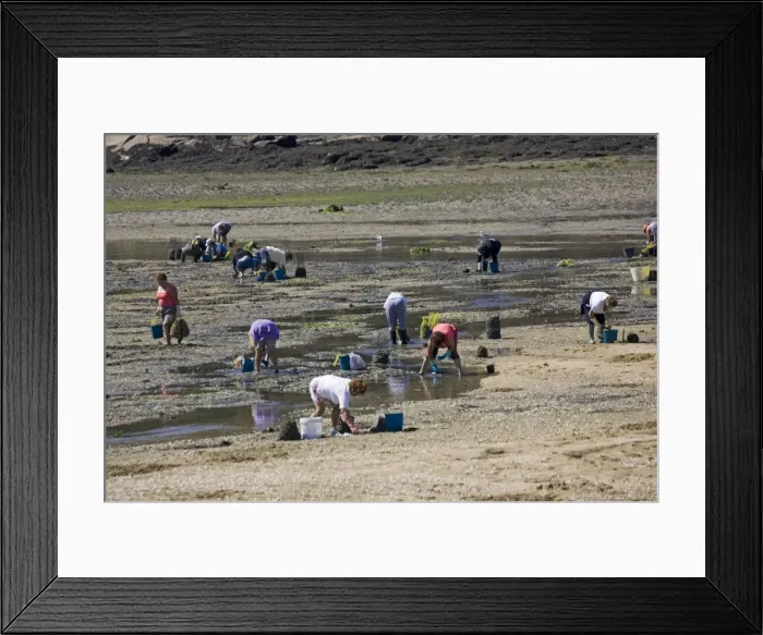 Framed Print : Picture No. 10865797 Framed Print : Picture No. 10865797