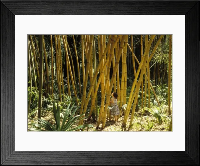 Framed Print : Picture No. 10865913 Framed Print : Picture No. 10865913