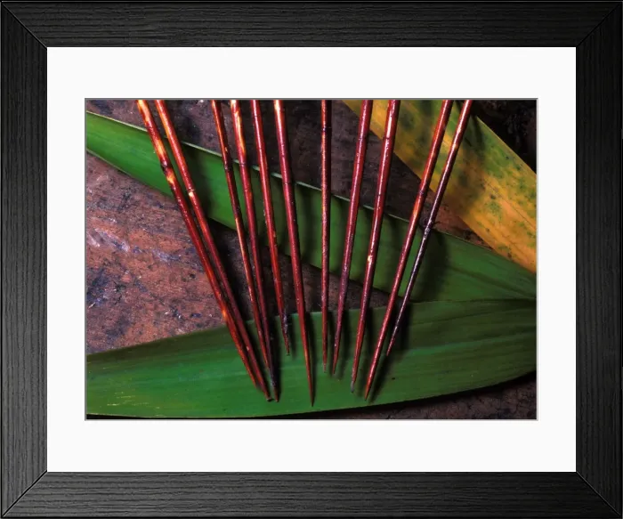 Framed Print : Picture No. 10865919