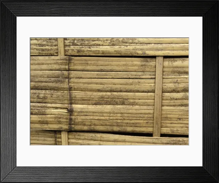 Framed Print : Picture No. 10865933 Framed Print : Picture No. 10865933