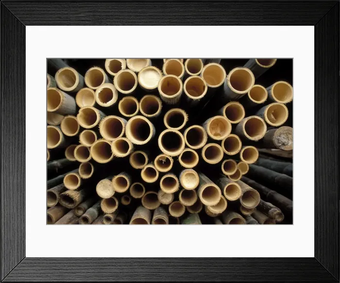Framed Print : Picture No. 10865994 Framed Print : Picture No. 10865994