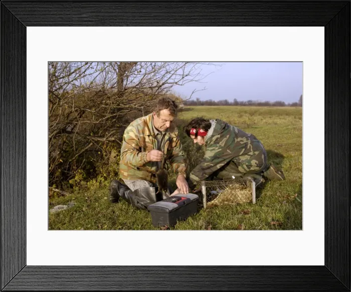 Framed Print : Picture No. 10866117 Framed Print : Picture No. 10866117