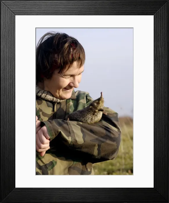 Framed Print : Picture No. 10866118 Framed Print : Picture No. 10866118