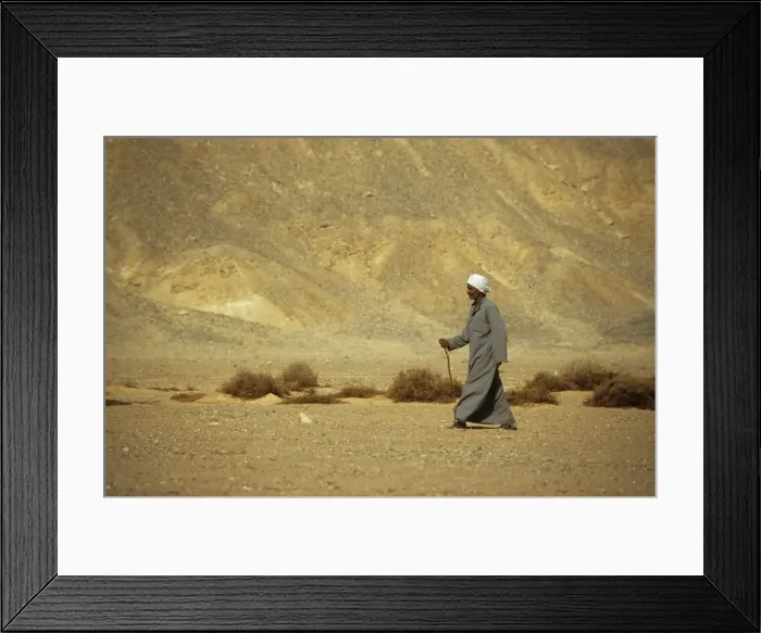 Framed Print : Picture No. 10866128 Framed Print : Picture No. 10866128