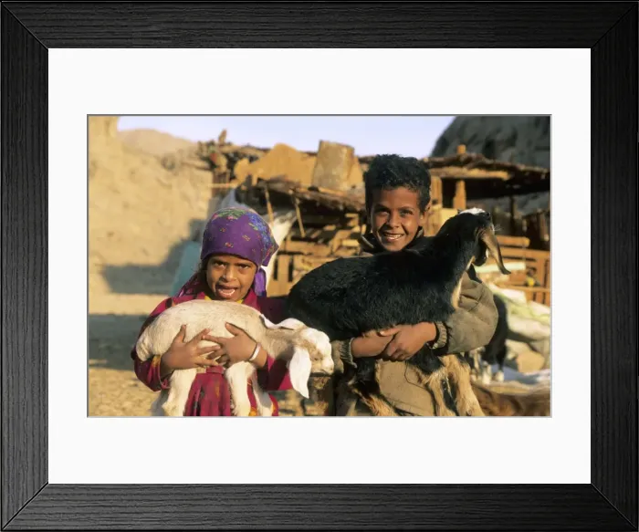 Framed Print : Picture No. 10866148 Framed Print : Picture No. 10866148