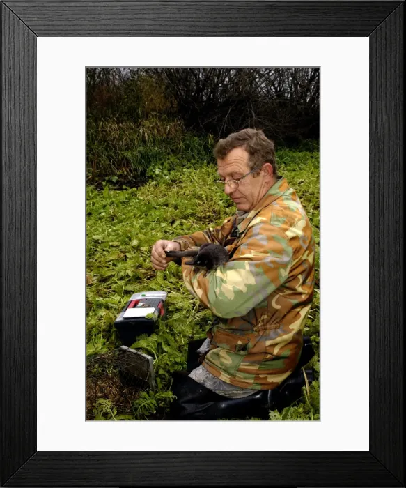 Framed Print : Picture No. 10866110 Framed Print : Picture No. 10866110