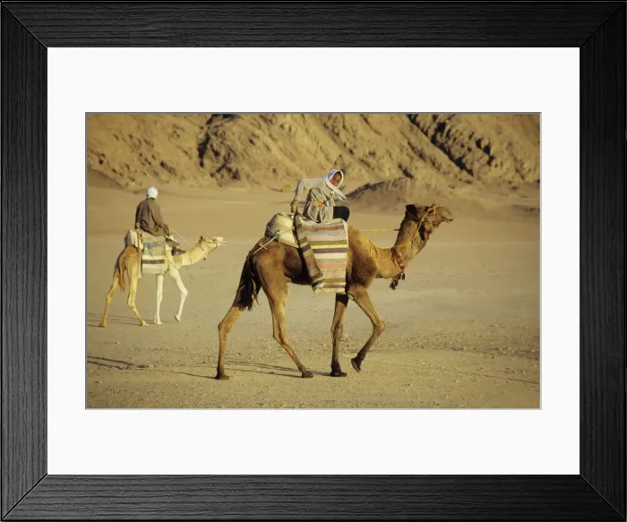 Framed Print : Picture No. 10866142 Framed Print : Picture No. 10866142