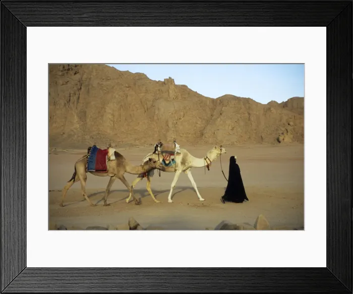 Framed Print : Picture No. 10866143 Framed Print : Picture No. 10866143