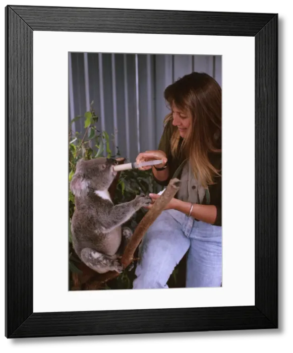 Framed Print : Picture No. 10866195 Framed Print : Picture No. 10866195