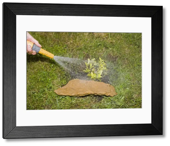 Framed Print : Picture No. 10866223 Framed Print : Picture No. 10866223