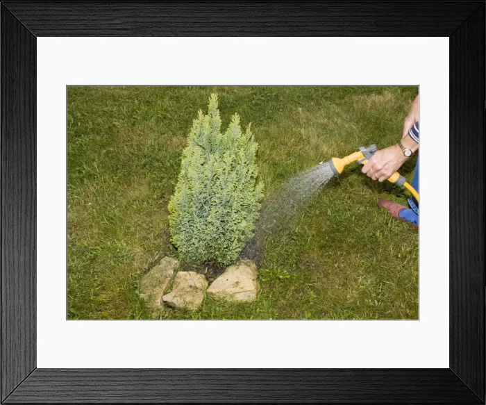 Framed Print : Picture No. 10866222 Framed Print : Picture No. 10866222