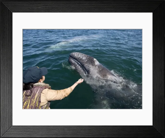 Framed Print : Picture No. 10866272 Framed Print : Picture No. 10866272