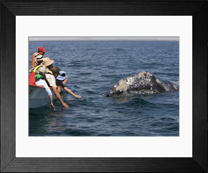 Framed Print : Picture No. 10866273