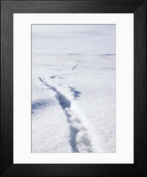 Framed Print : Picture No. 10866388 Framed Print : Picture No. 10866388