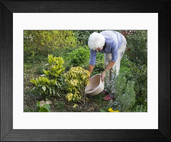 Framed Print : Picture No. 10866325