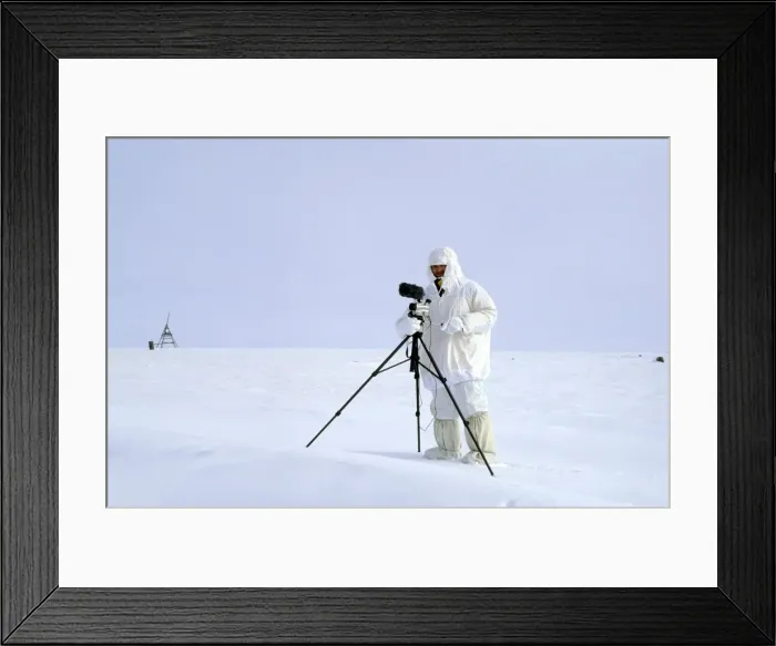 Framed Print : Picture No. 10866391 Framed Print : Picture No. 10866391