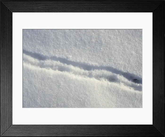 Framed Print : Picture No. 10866387 Framed Print : Picture No. 10866387