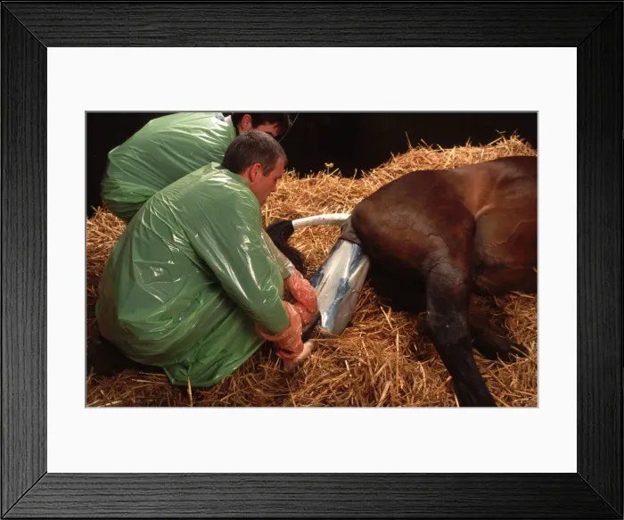 Framed Print : Picture No. 10866591