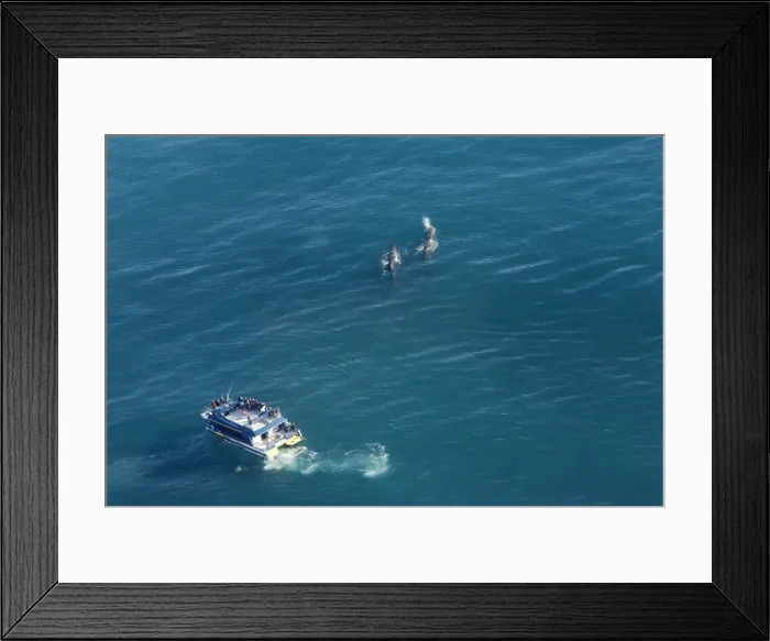 Framed Print : Picture No. 10866735 Framed Print : Picture No. 10866735