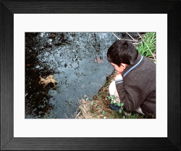 Framed Print : Picture No. 10866618 Framed Print : Picture No. 10866618