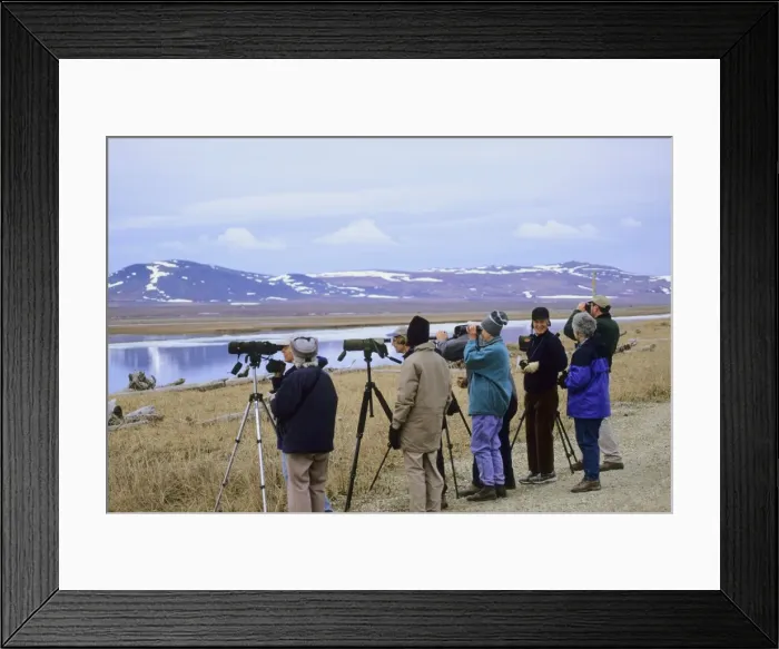 Framed Print : Picture No. 10866840 Framed Print : Picture No. 10866840