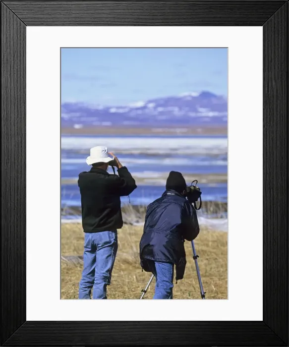 Framed Print : Picture No. 10866839 Framed Print : Picture No. 10866839